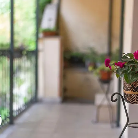 Salernum - Monte Mare *